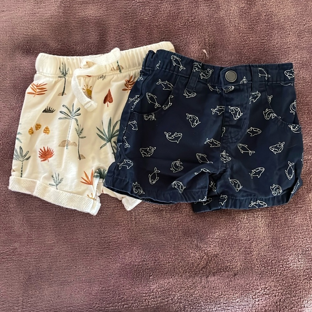 Baby Boy Shorts